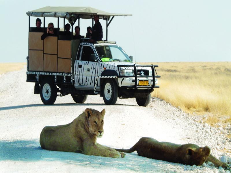 Vila Gondwana Etosha Safari Camp Okaukuejo Exteriér fotografie